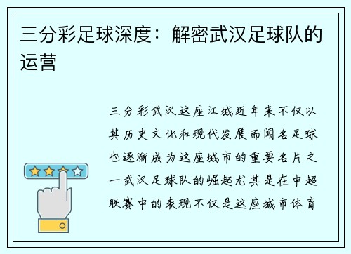 三分彩足球深度：解密武汉足球队的运营