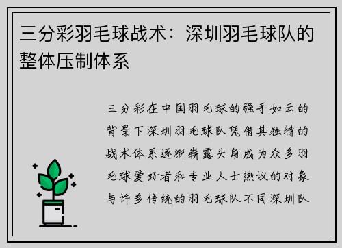 三分彩羽毛球战术：深圳羽毛球队的整体压制体系